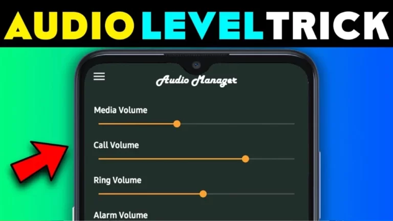 Audio Level Manager Vault Details