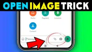 Open Image and Unlock Seamless Image-to-PDF Conversion 11 Image to PDF Converter – Conve App